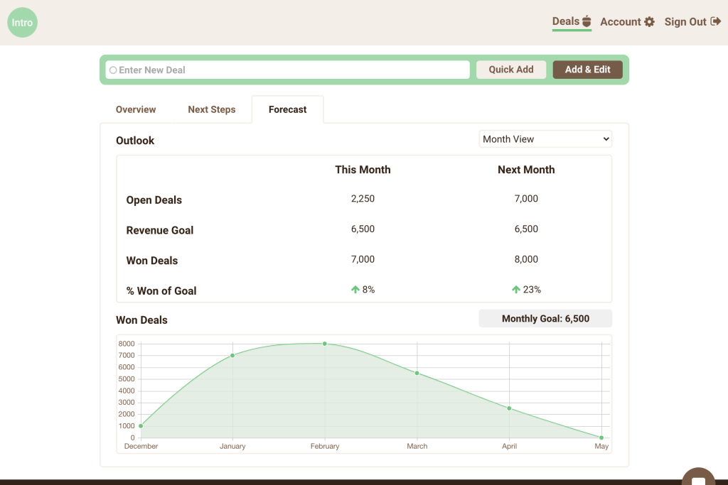 Intro CRM cash flow forecast screenshot. 