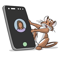 Chipmunk holding a cell phone. Chipmunk holding a cell phone.
